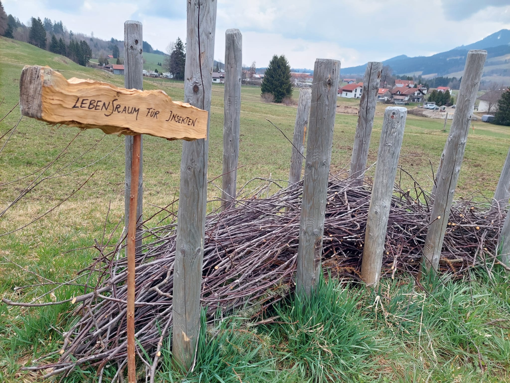 Streuobstweise Linzenleiten